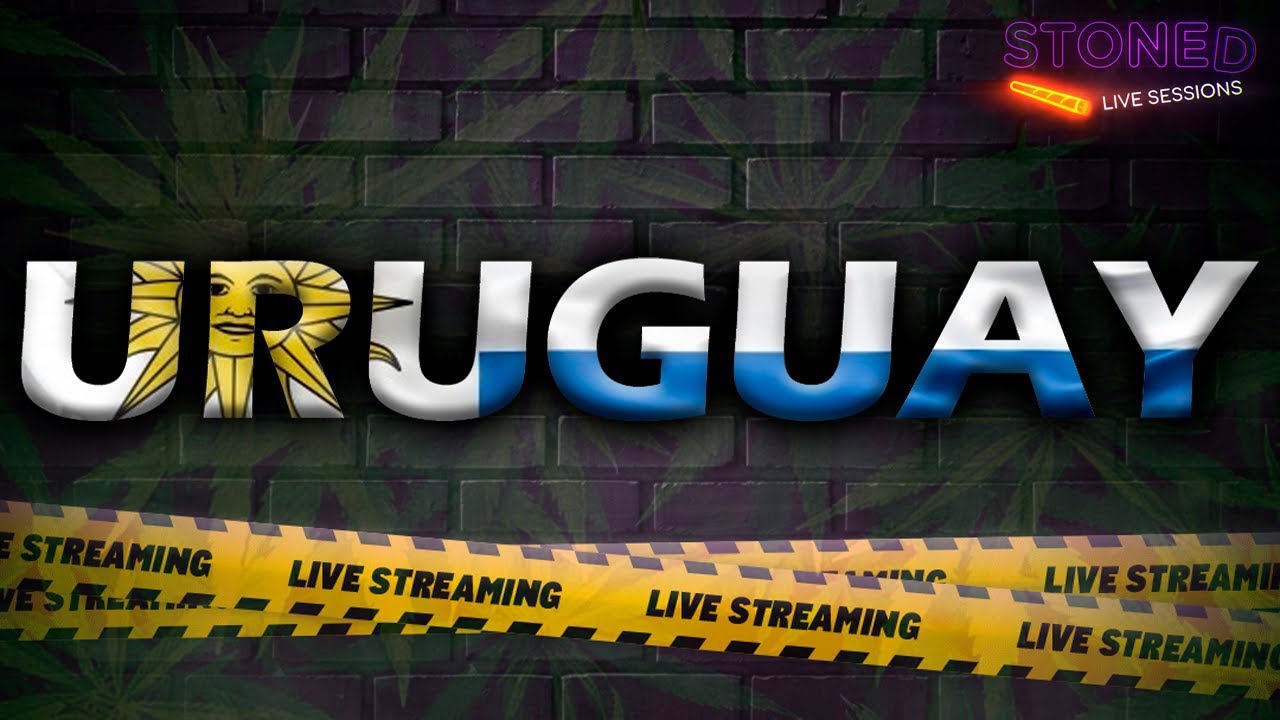 LA SITUACION EN URUGUAY | Lo mejor del capitulo 6 Stoned live sessions