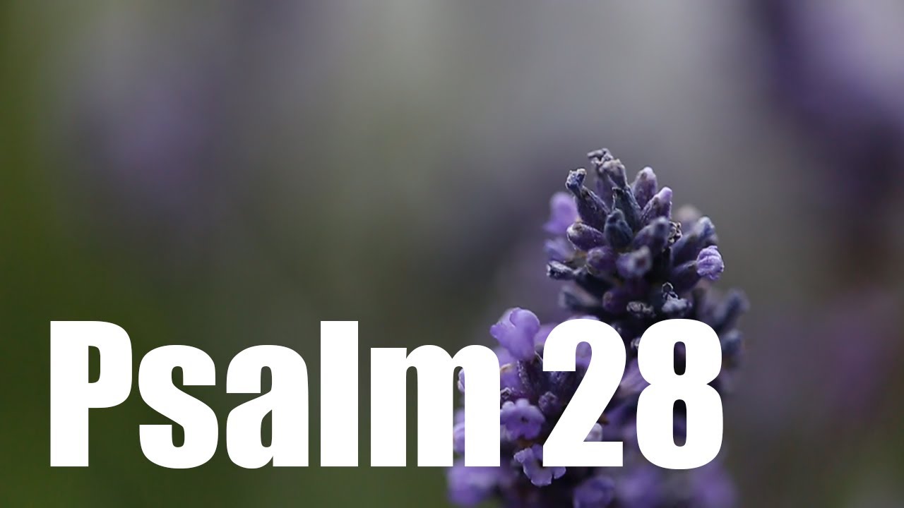 Psalm 28 - Hilferuf in Todesgefahr und Dank f&uuml;r Erh&ouml;rung