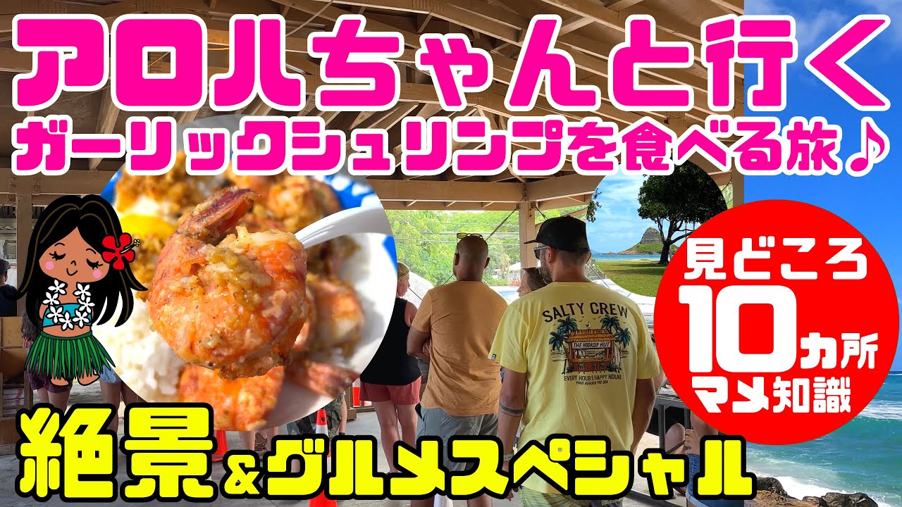 🌈絶景ハワイ！ずっと海沿いドライブ【45分リアルタイム観光ガイド+ハワイの知識】普通通らないルートでノースショアへ「人気No.1のジョバンニのガーリックシュリンプを食べる」検証ハワイやんバーガーズ
