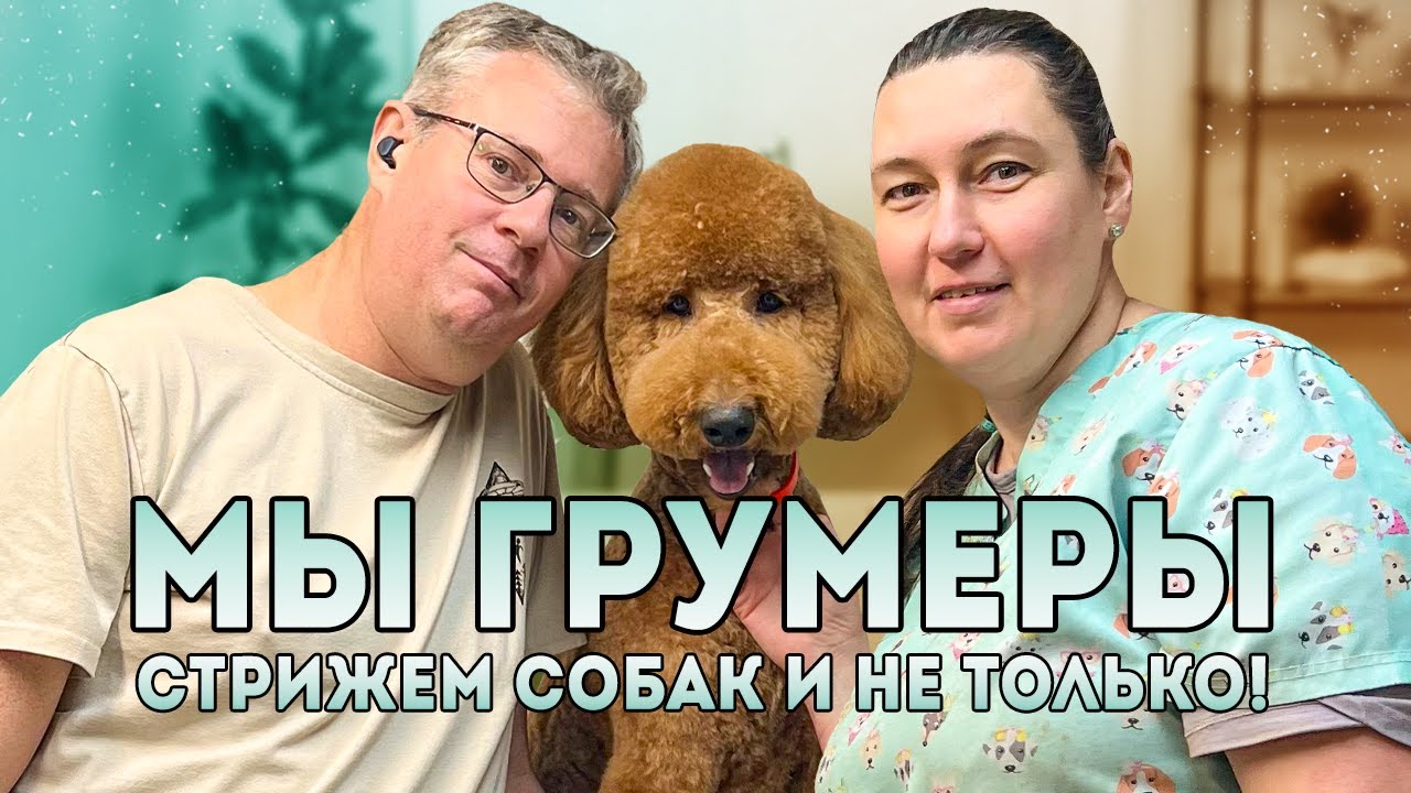 Грумеры о своей работе