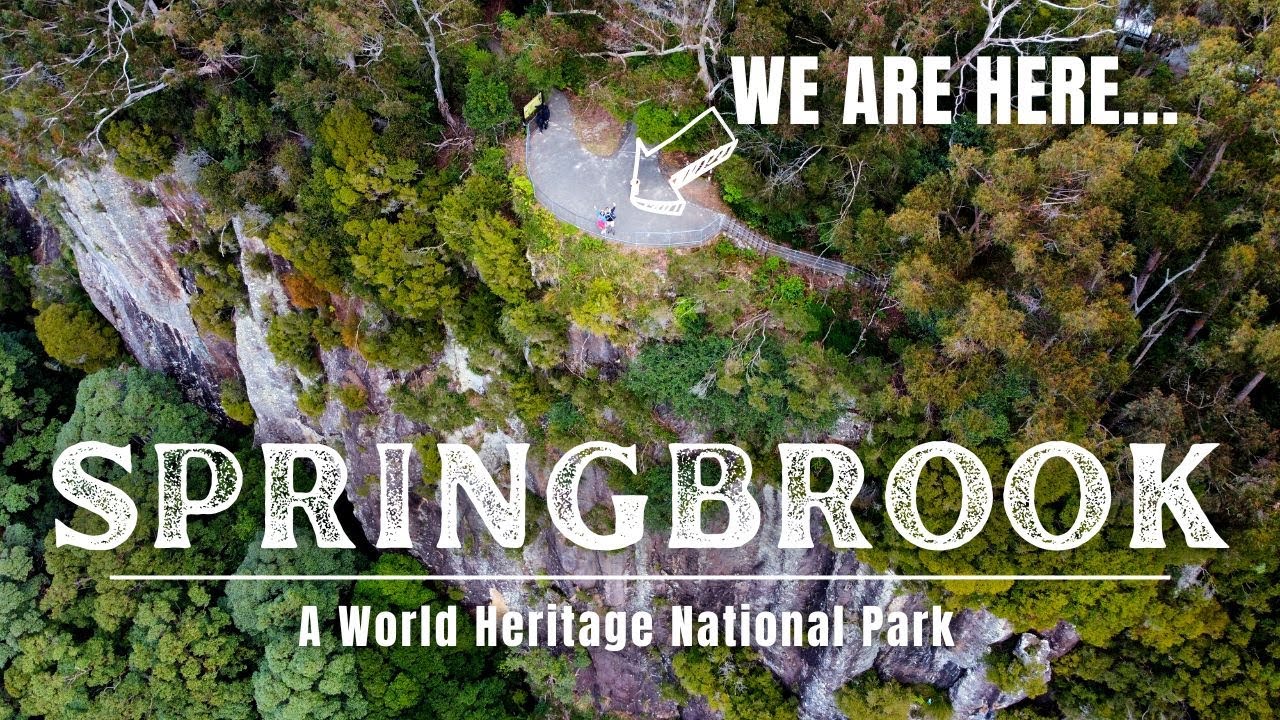Springbrook National Park - 4K | Landscapes, Lookouts, Waterfalls | Queensland Australia Travel Vlog