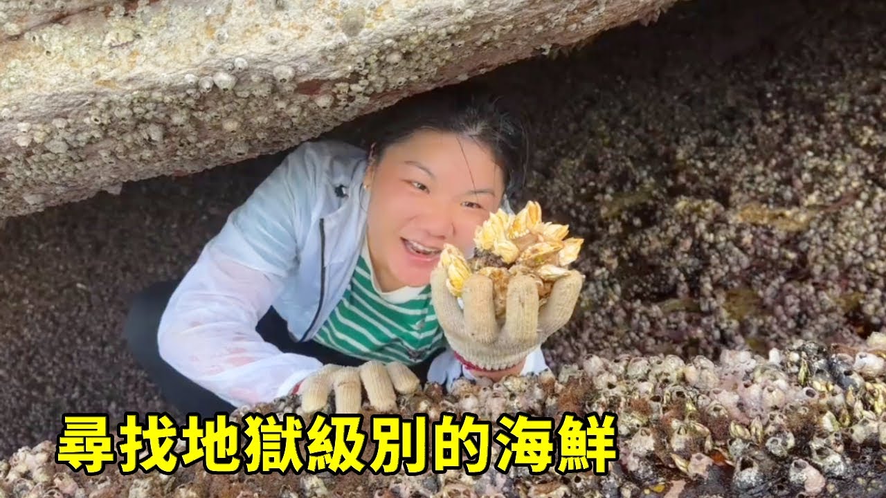 小漁峽谷中趕海，尋找地獄級別的海鮮，一斤50輕鬆賺翻天【漁小仙】