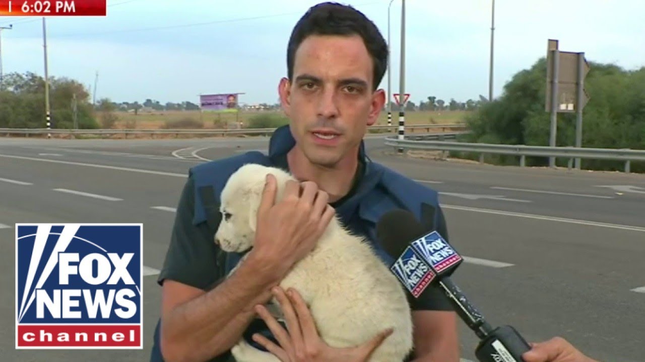 Puppy found whose owners were killed in Hamas attack