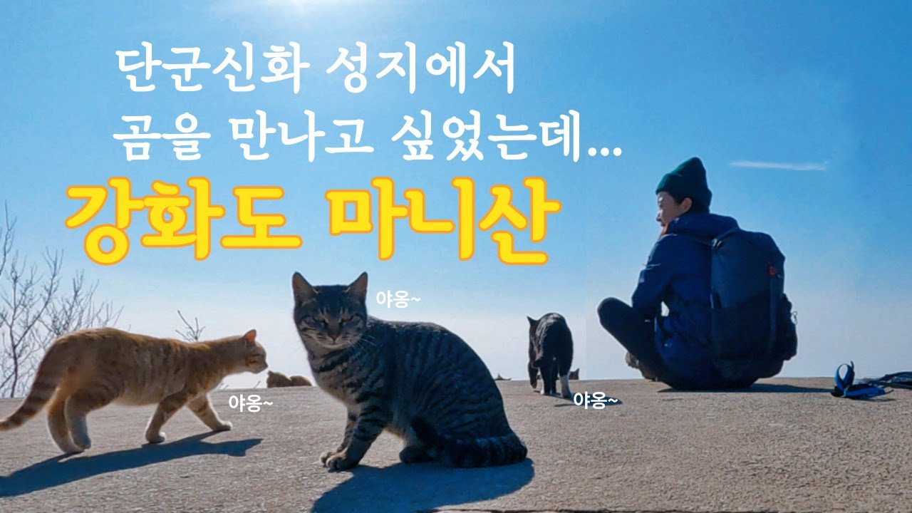 단군신화의 성지 나홀로 마니산/단군로~함허동천로
