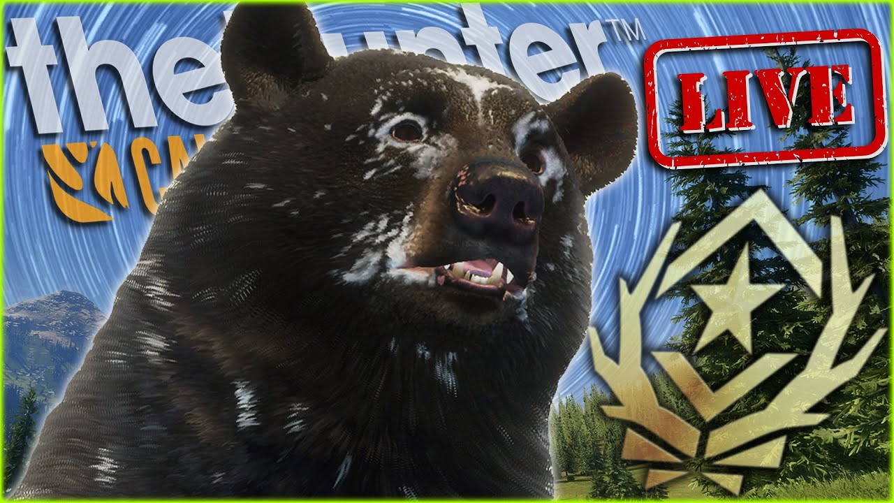 SHOOTING OUR GREAT ONE BLACK BEAR! And Grinding For That Spirit Bear Once Again! Call of the wild