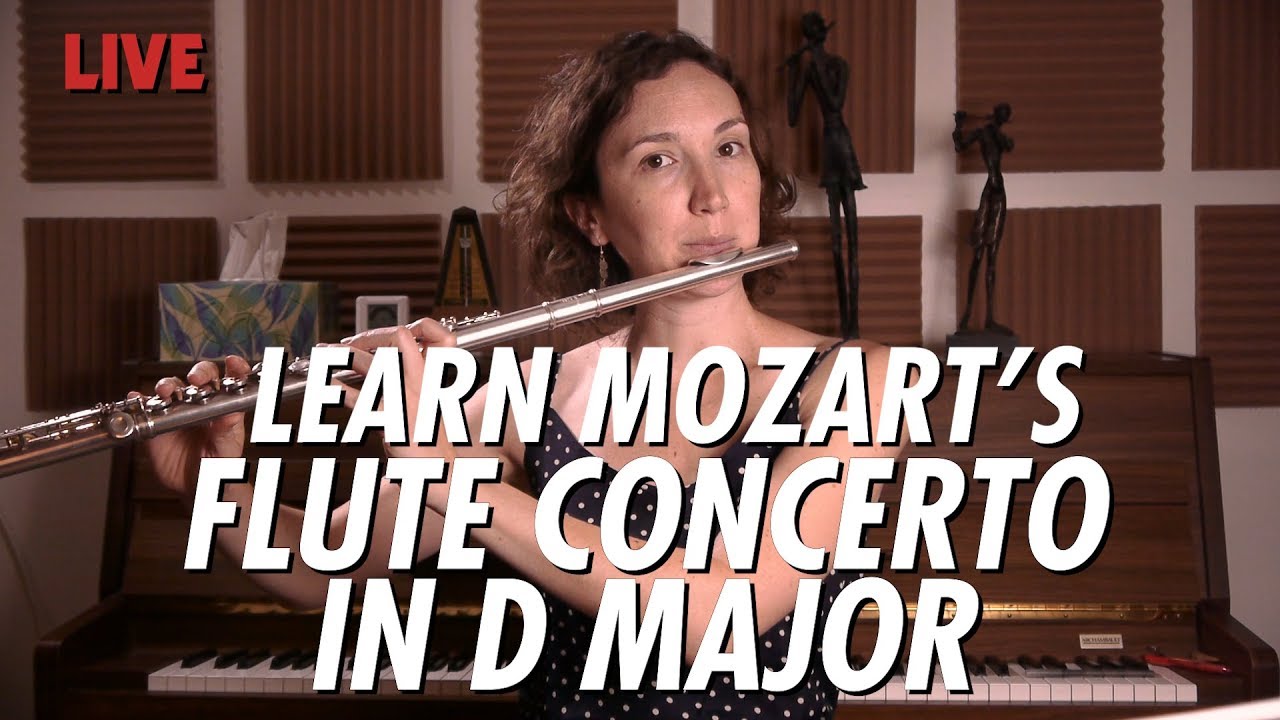 Just Practicing with Amelie | D MAJOR CONCERTO by W.A. MOZART
