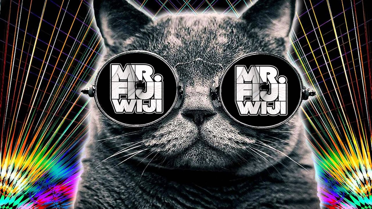 Mr FijiWiji - Fire Inside (Skrux Rework)