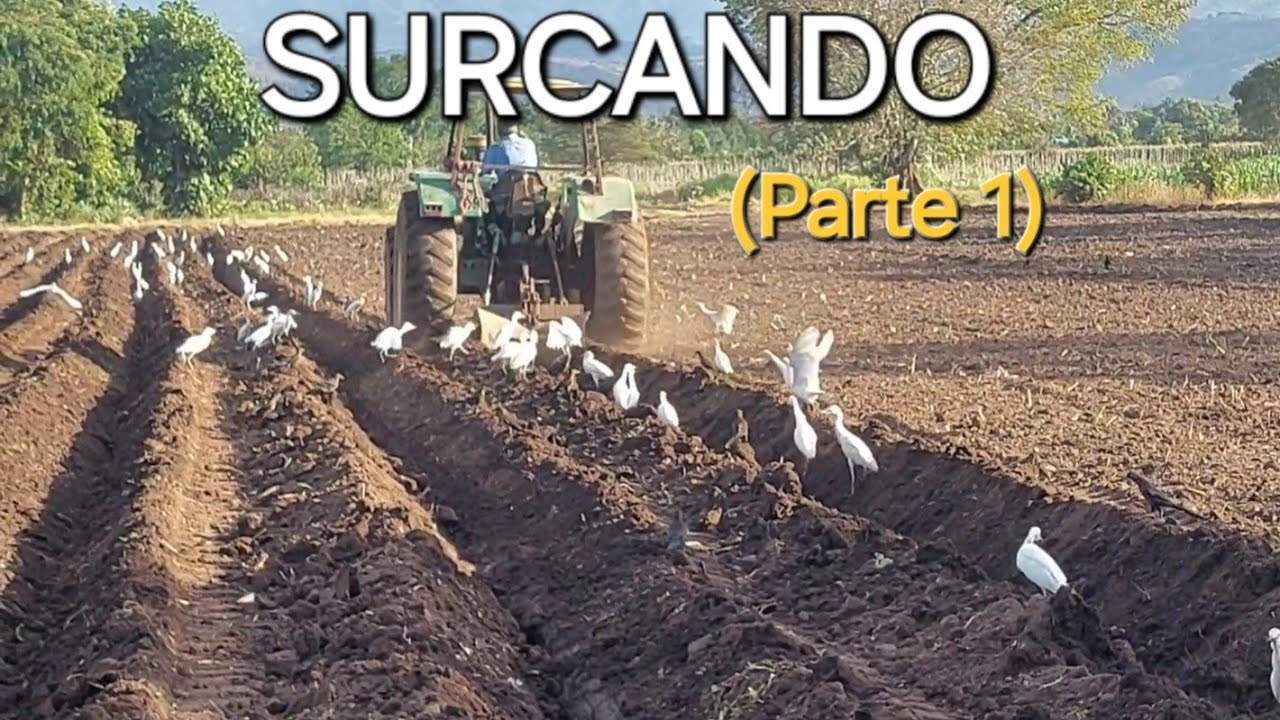 Tractor Jhon deere surcando la tierra para la siembra de maíz. (1)
