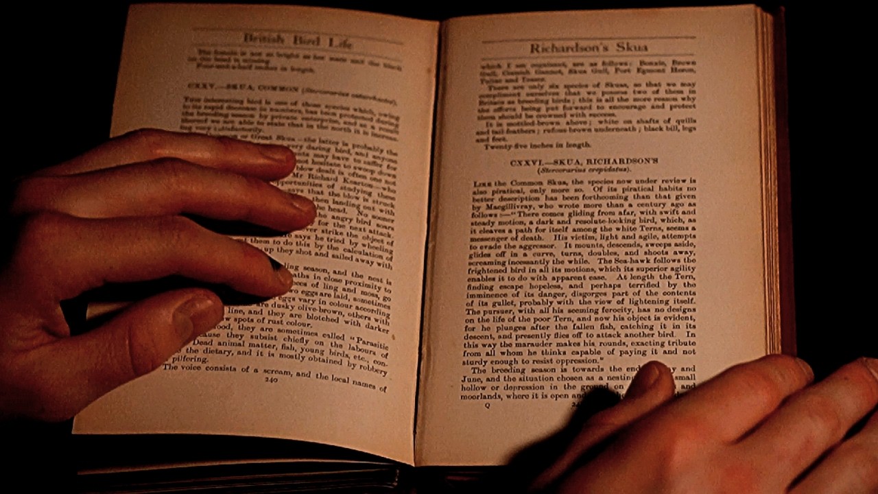Whispering Only ASMR | Book Reading | 1 Hour