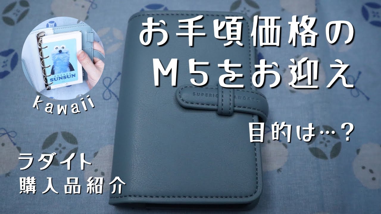 【購入品紹介】ラダイトのM5に50円のお得リフィルをセット！【システム手帳】　＃582