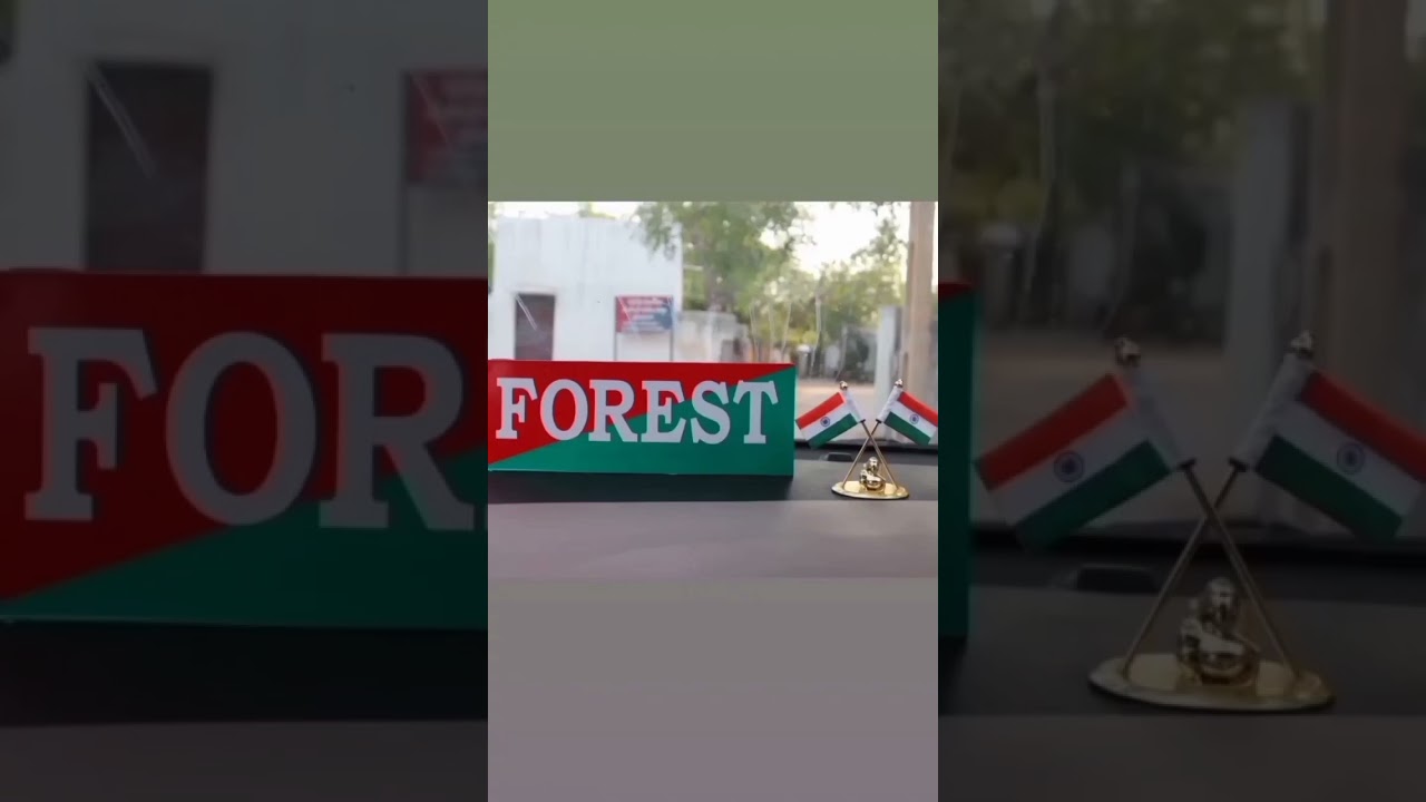 GUJARAT FOREST #forest #motivation #southgujarat #forestguardexam