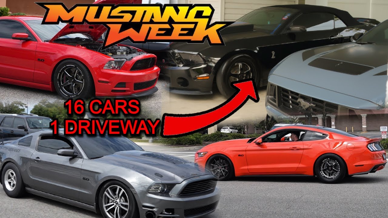 Mustang Week Kickoff | Pull-Ins, Fly-Bys & Hanging with Cobra Sam