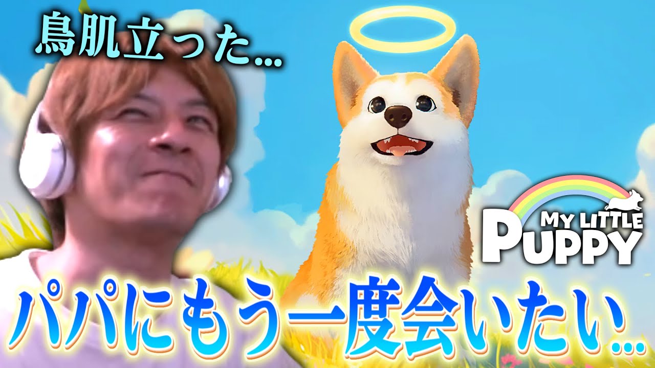 天国で飼い主を探すワンコに感動するおえちゃん【My Little Puppy - マイリトルパピー】【2025/11/19】