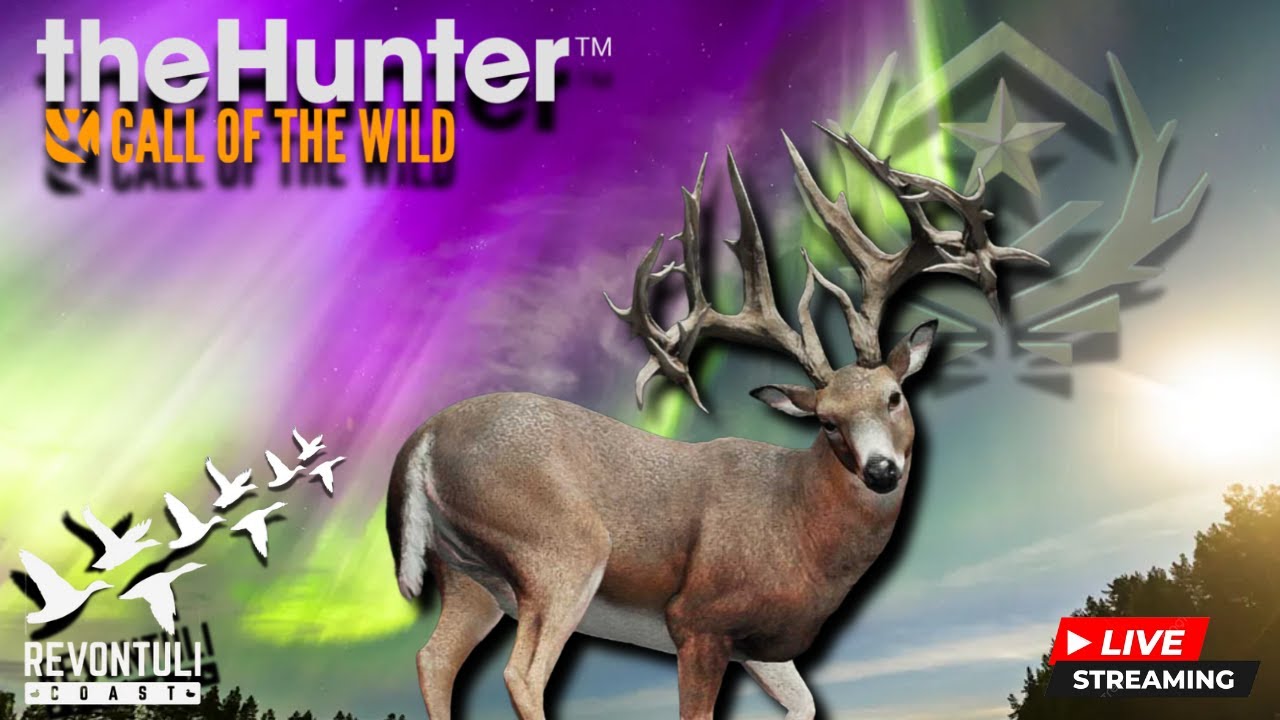 Let's Hunt GO WhiteTail Deer For Revontuli!!