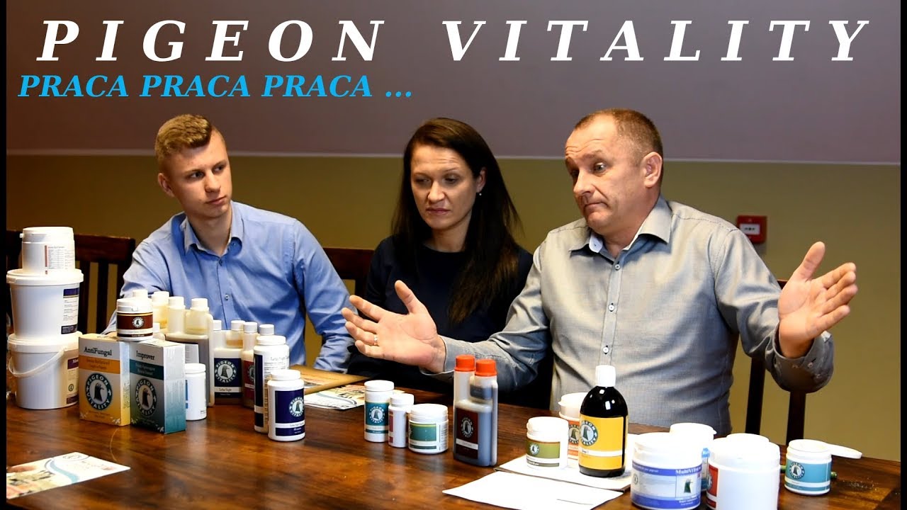 PIGEON VITALITY - Asia & Marcin Szpadzik / Praca Praca Praca ...