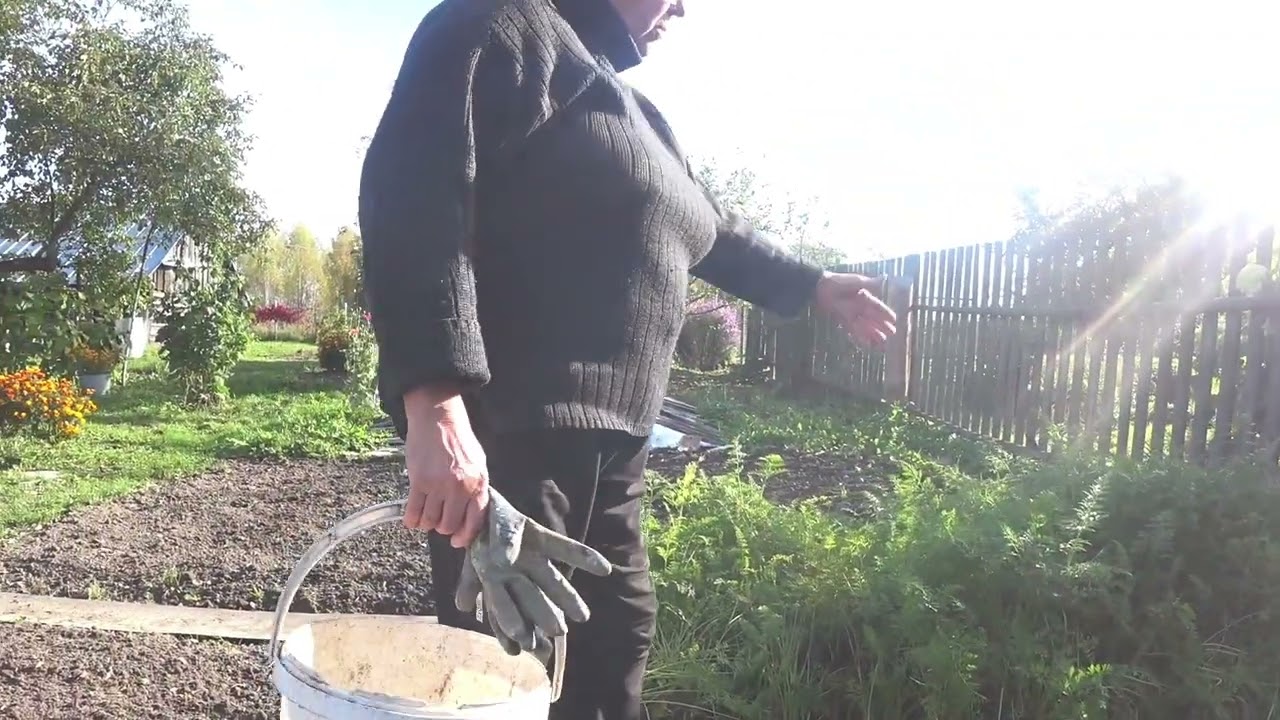 Огород, подрезания кустов,копка.