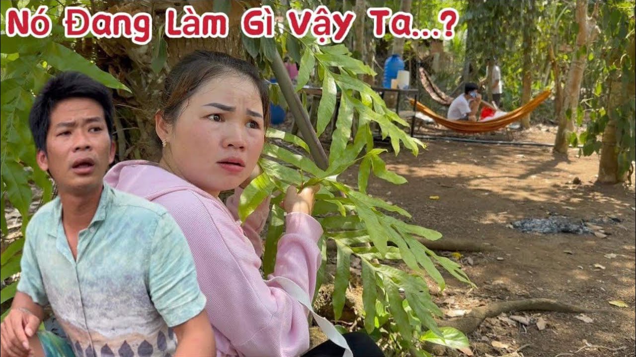 Phương Ế và 7 Cô Đơn Rình Rập Để Troll Thuận Gòm ..Ai ngờ cái kết thật buồn