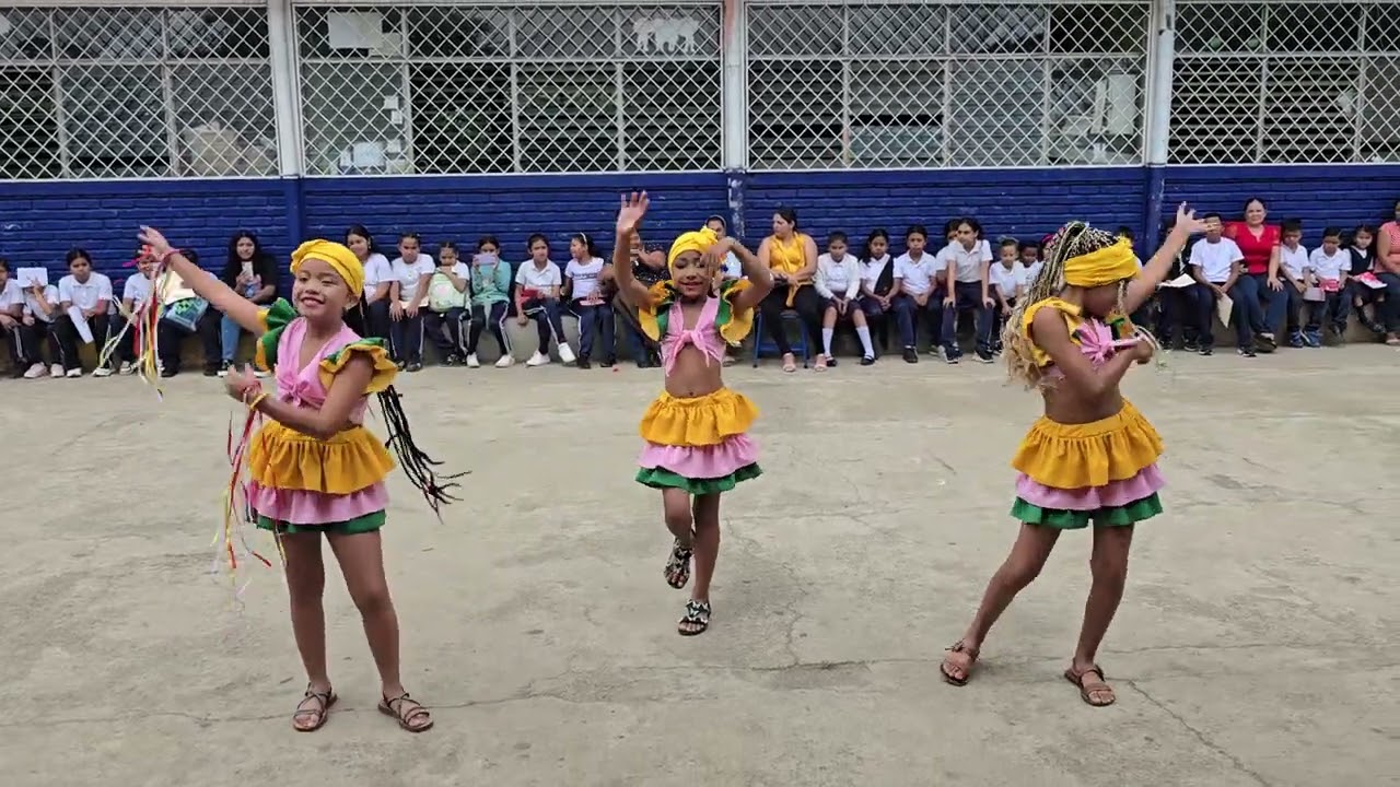 Mix de Palo de Mayo🥰🥰🥰Vidita