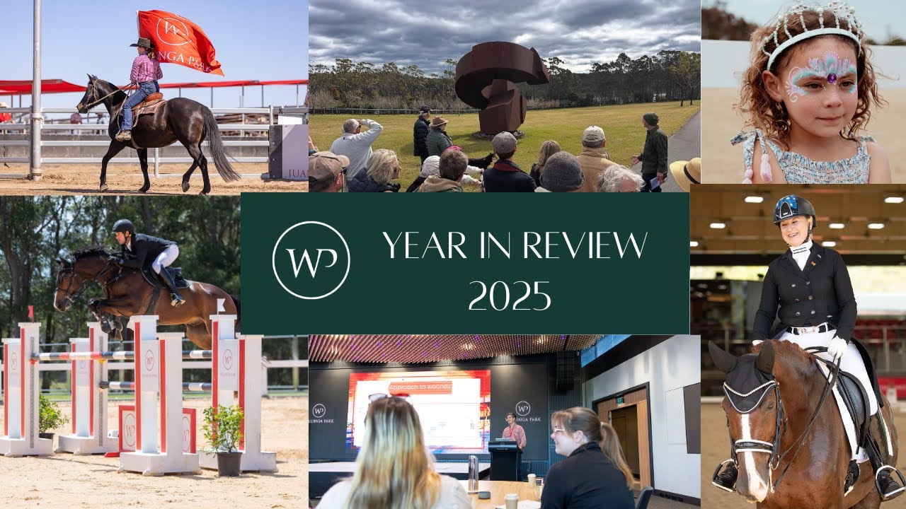 2025 — One remarkable year at Willinga Park | Bawley Point, NSW
