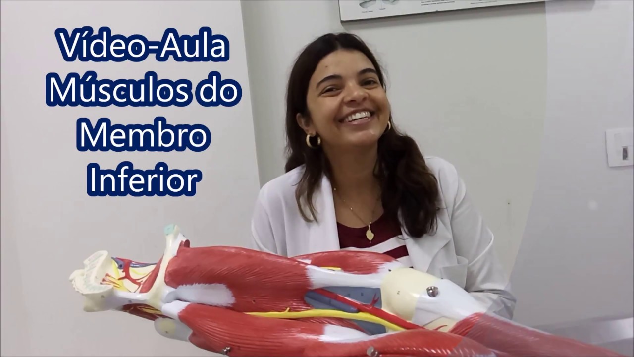 Músculos do membro inferior Vídeo-aula