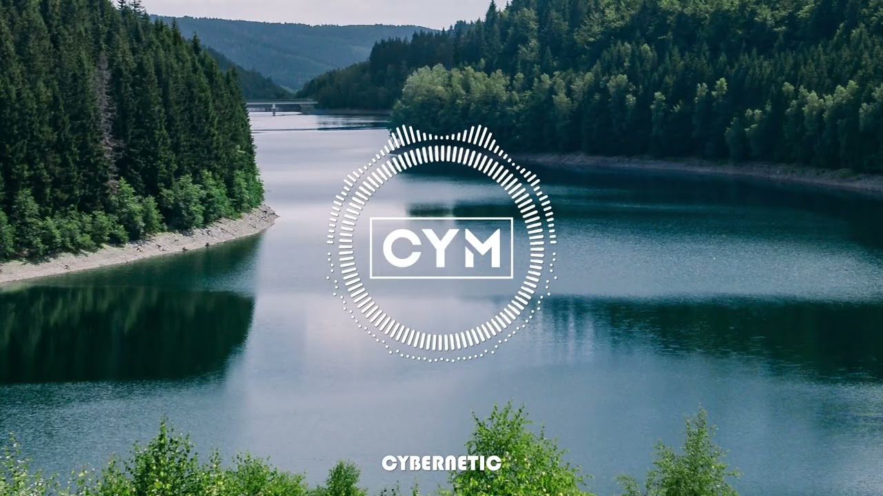 CYBERNETIC