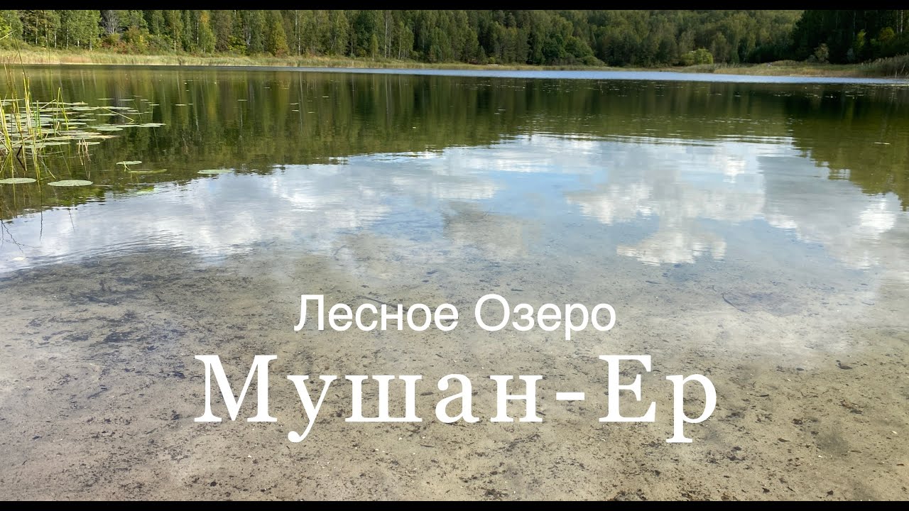 Лесное озеро Мушан-Ер, Марий-Эл
