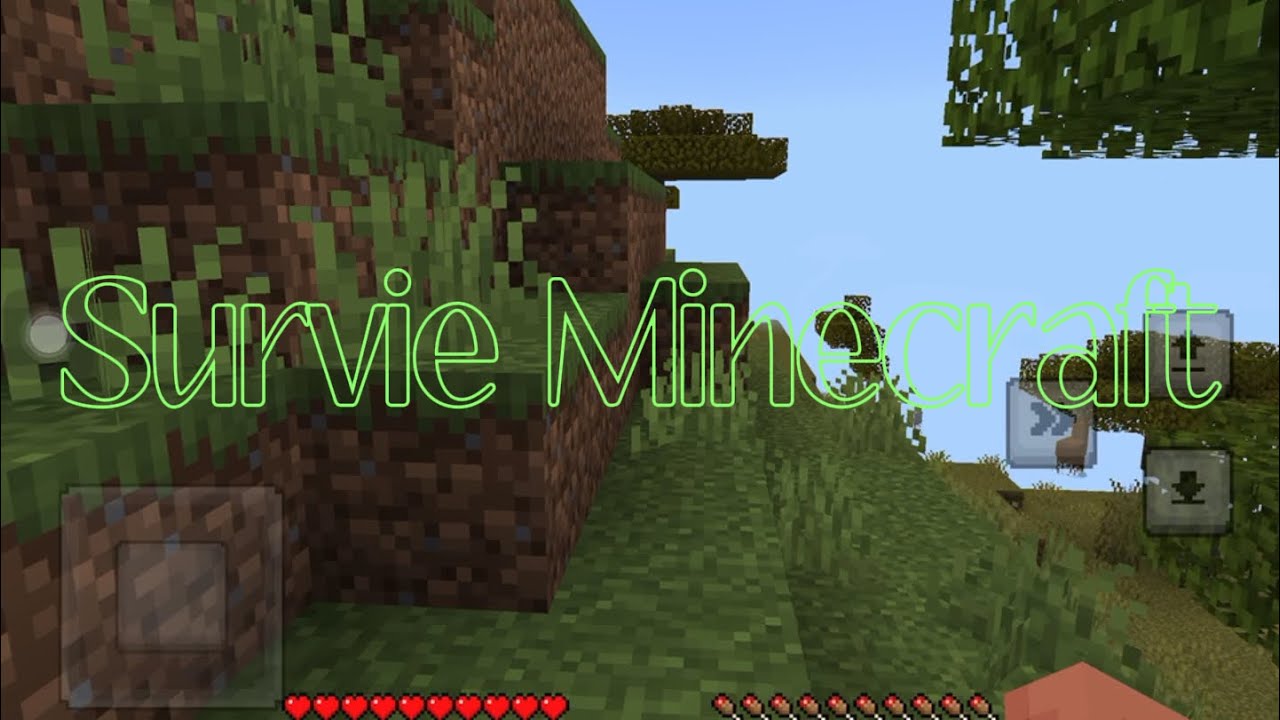 Survie Minecraft (c’est un bon début)