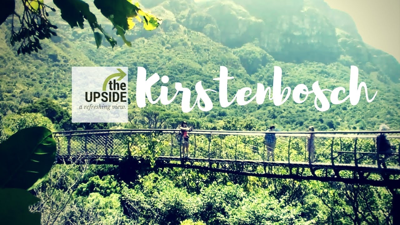 Things to do in South Africa: Kirstenbosch National Botanical Garden