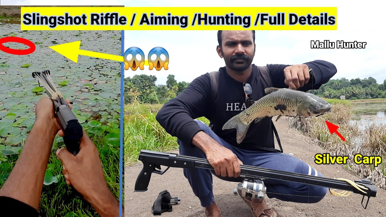 തോക്ക് തെറ്റാലി കൊണ്ട് ഒരു സിൽവർ കാർപ് വേട്ട/ Mallu Hunter / slingshot fishing kerala