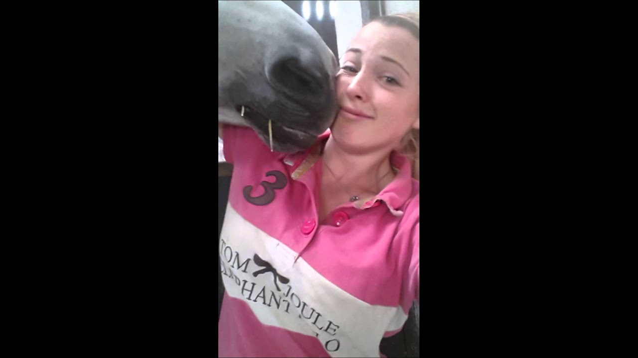 Horse kisses