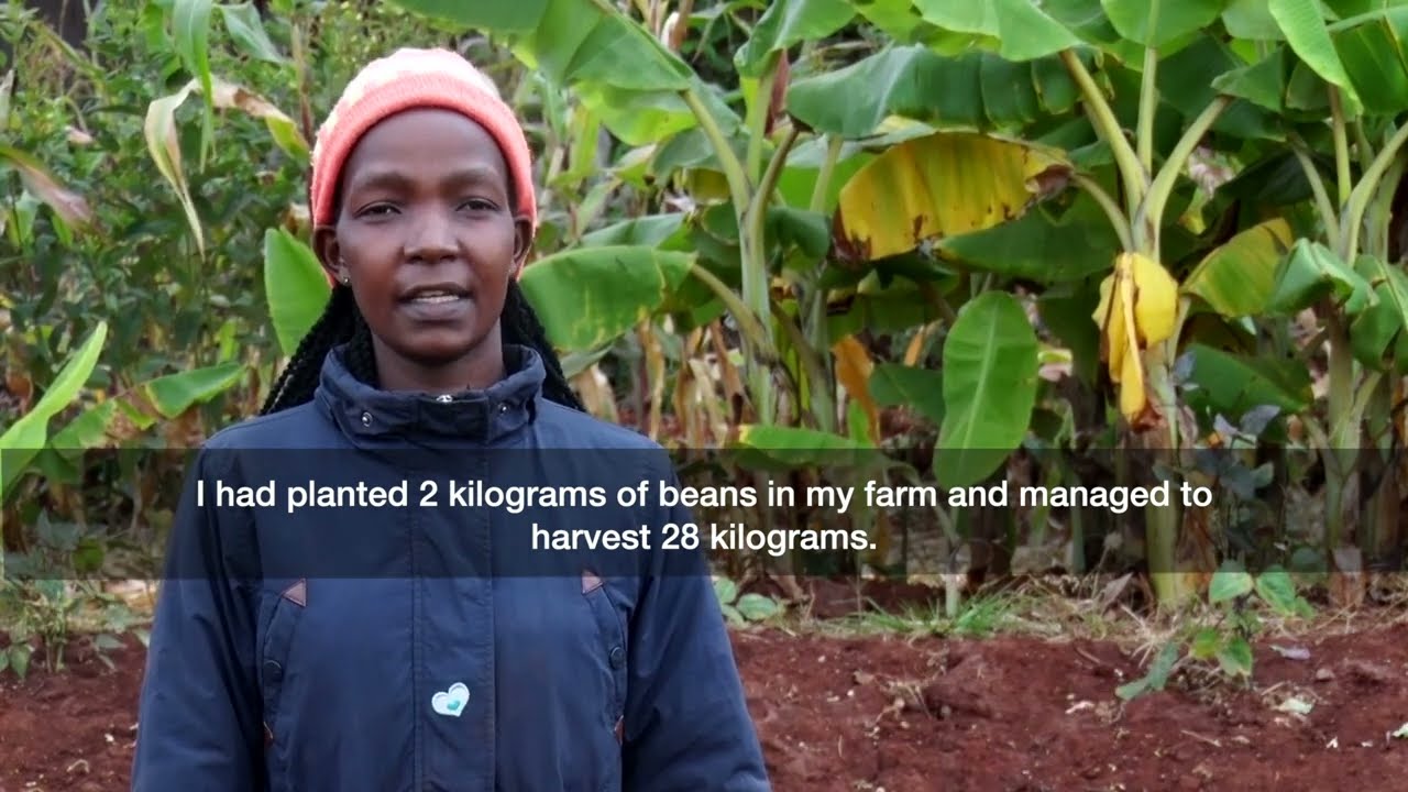 Regenerative Agriculture in Makueni County