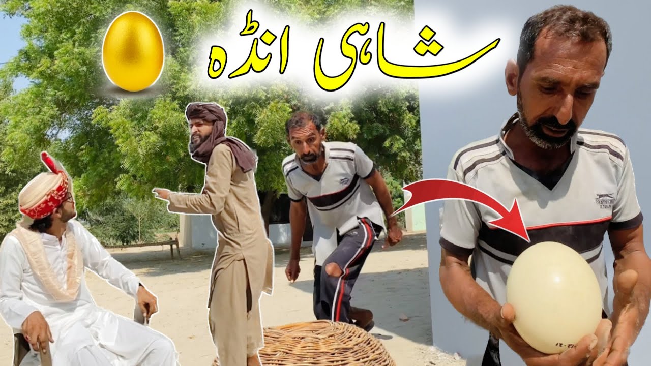 Shahi Anda • Royal Egg 🥚