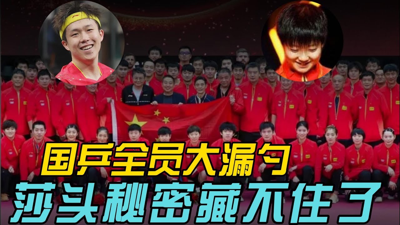 要不是国乒这些大漏勺，我怎么会被捶在“莎头”坑里出不来？来盘点一下那些国乒带头嗑