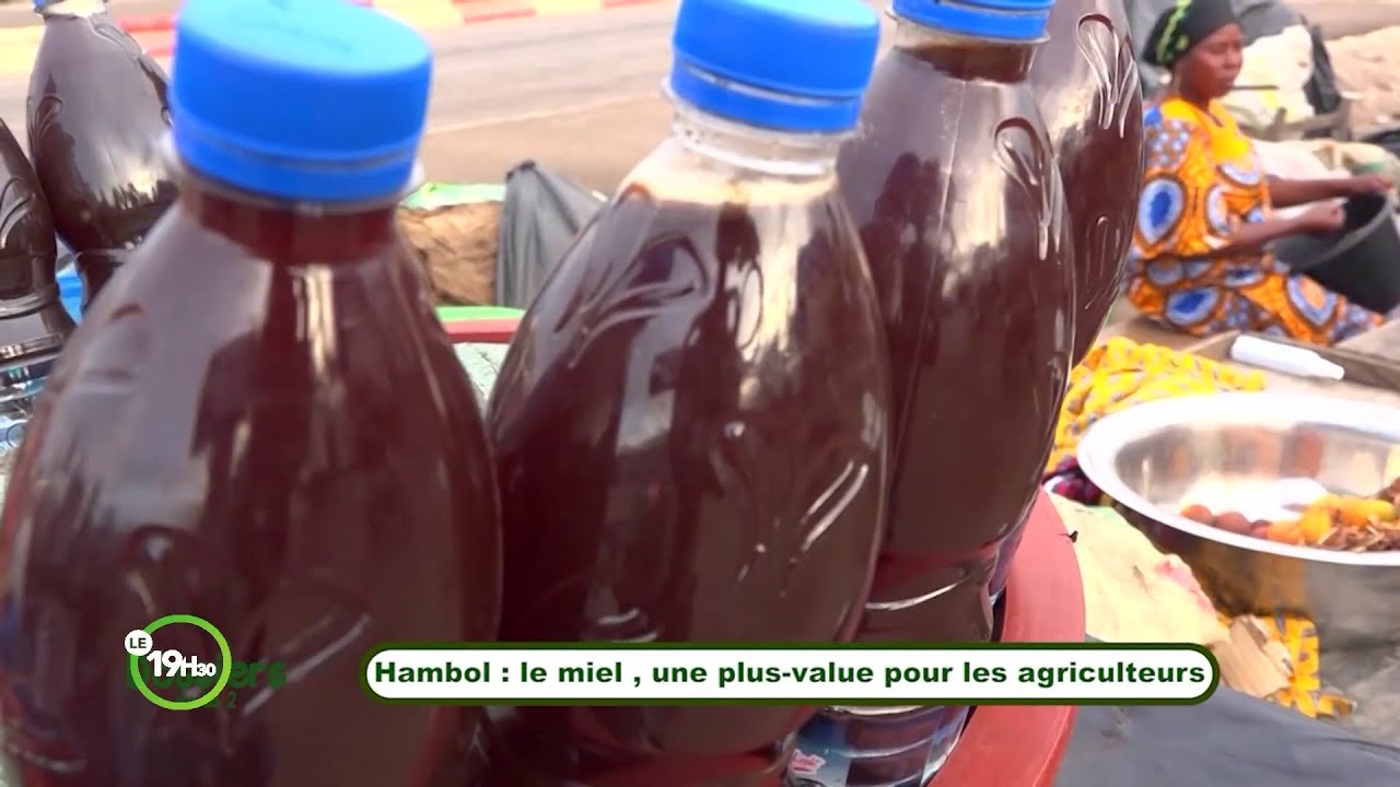 Hambol : le miel, une plus value pour les agriculteurs