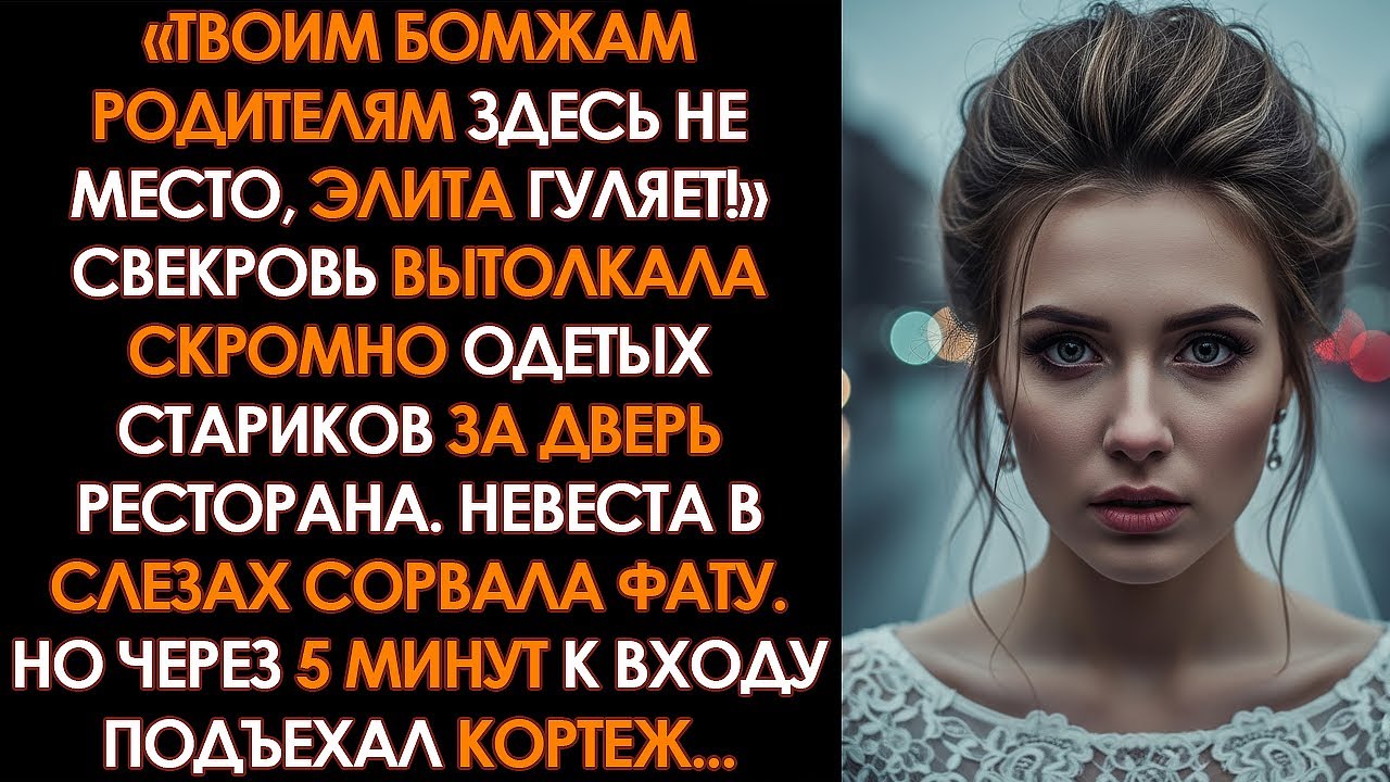 «Ты безродная нищенка!» — орала свекровь. Она испортила свадьбу, выгнав моих родителей, но они...