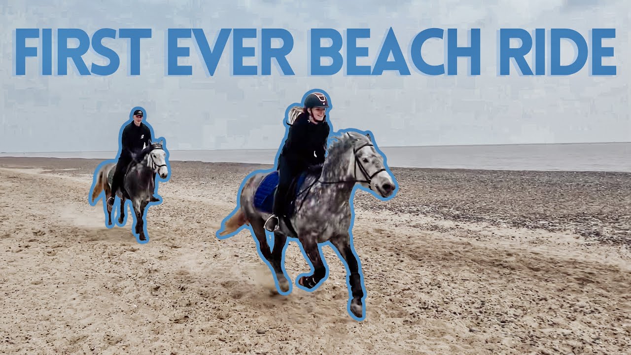 First Ever Beach Ride, The Quirkiest Airbnb & LOTS of Animals | VLOG | LilPetChannel