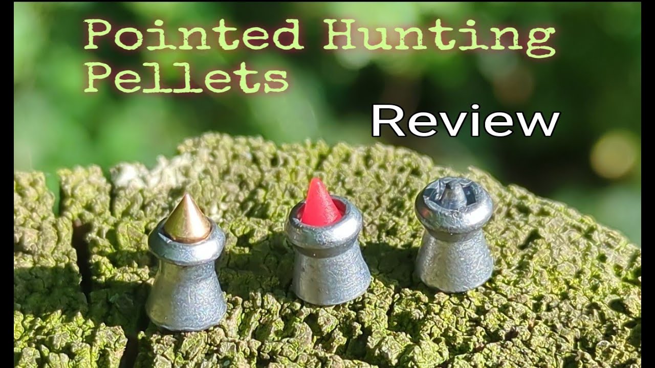 Air rifle Pointed hunting pellets review. JSB Polymag shorts and H&N Hornet