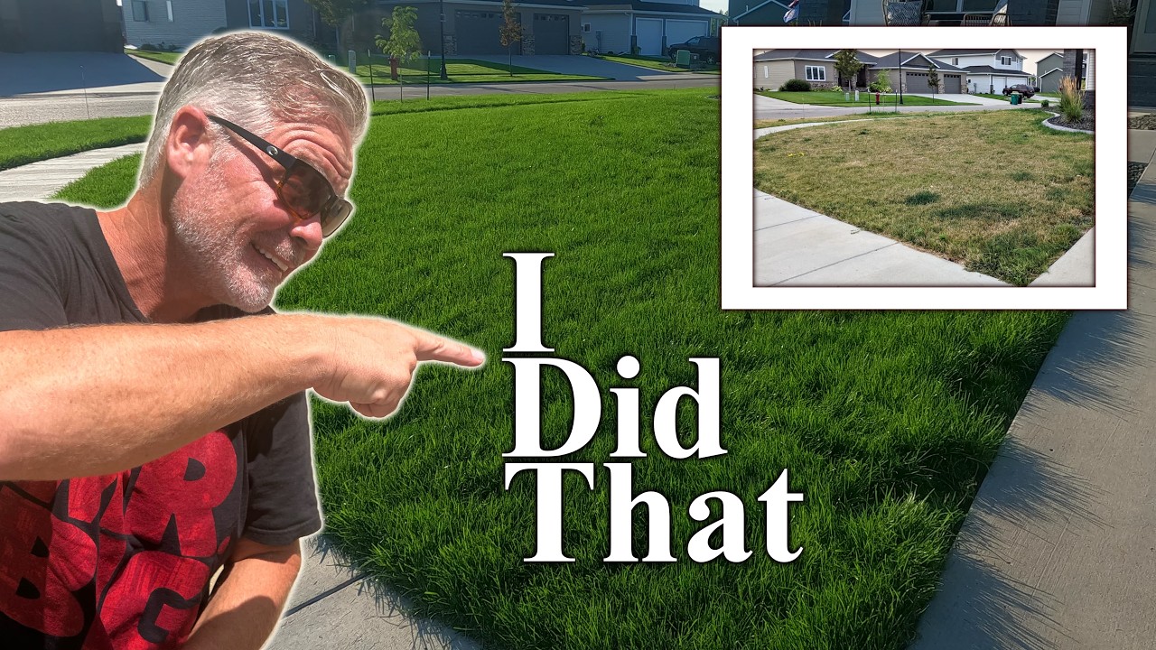 3 Weeks To Fix Your Damaged Lawn This Fall