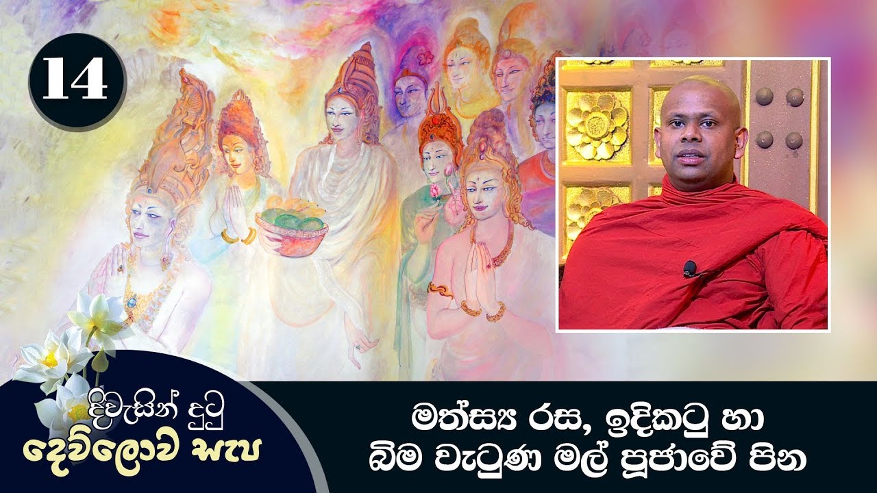 14) දිවැසින් දුටු දෙව්ලොව සැප | මත්ස්‍ය රස, ඉදිකටු හා බිම වැටුණ මල් පූජාවේ පින