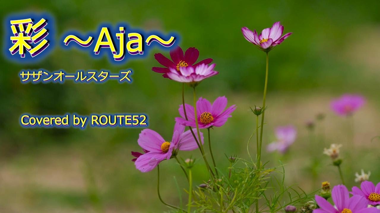 彩 / Aja / 彩～Aja～ / サザンオールスターズ / カバー / アジャ / 歌詞 / 桑田佳祐 /2004