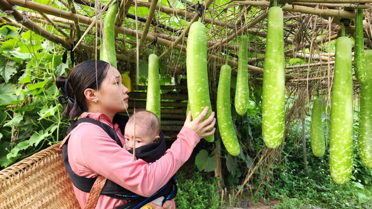 A single mother with two small children harvests gourds and cooks with her children
