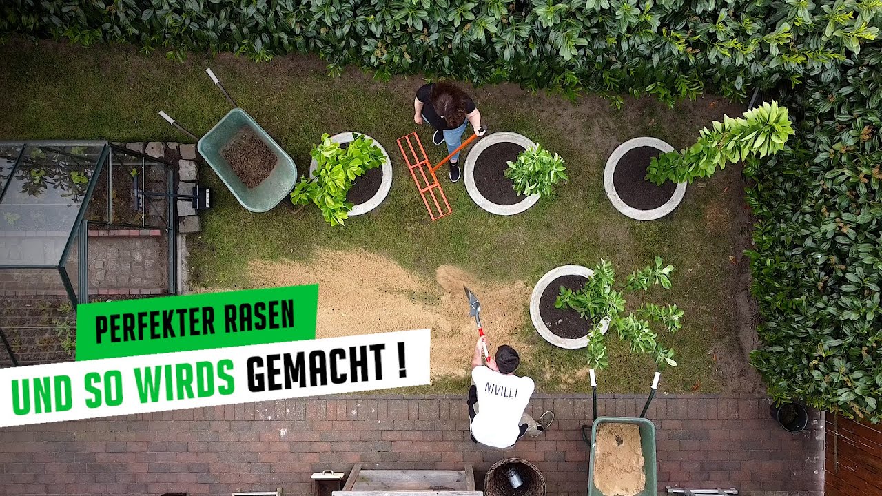 So kommst du (einfach) zum Traumrasen - AERIFIZIEREN, BELÜFTEN und SANDEN 🌱