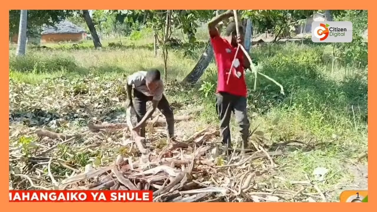 Ndugu wawili pacha wakosa kurudi shuleni