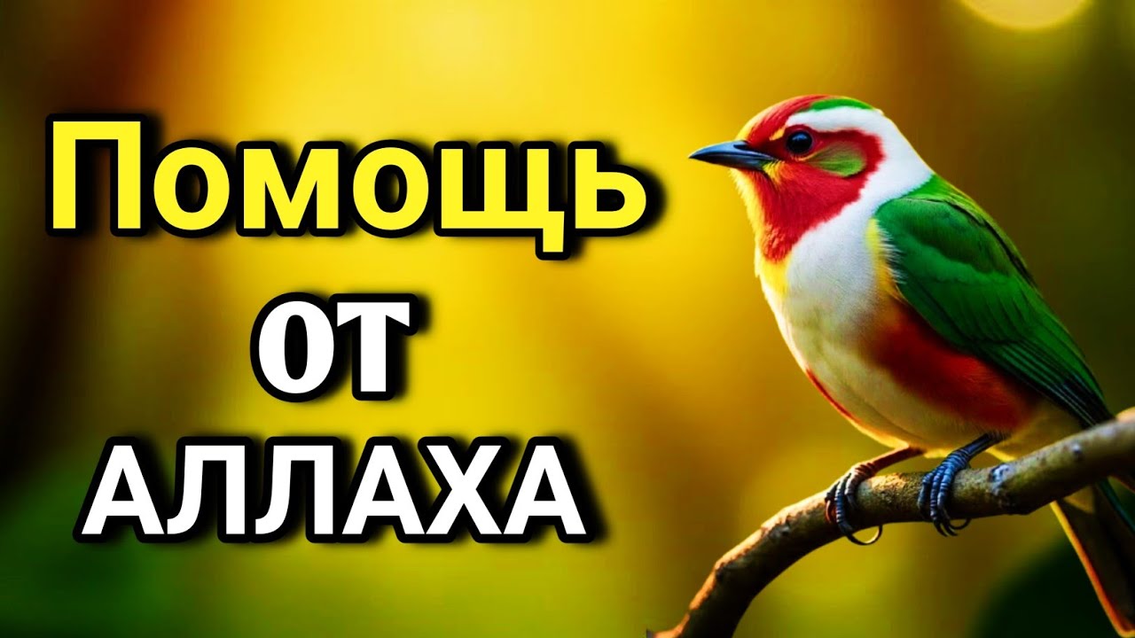 💖 ОЧЕНЬ СИЛЬНЫЙ ДУА - Аллах дарует выход из любой трудности! 🤲✨💯