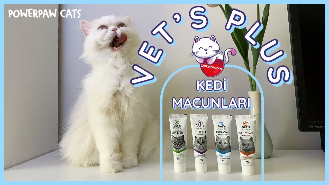 Vet's Plus Kedi Macunlarını İnceliyoruz | Powerpaw Cats
