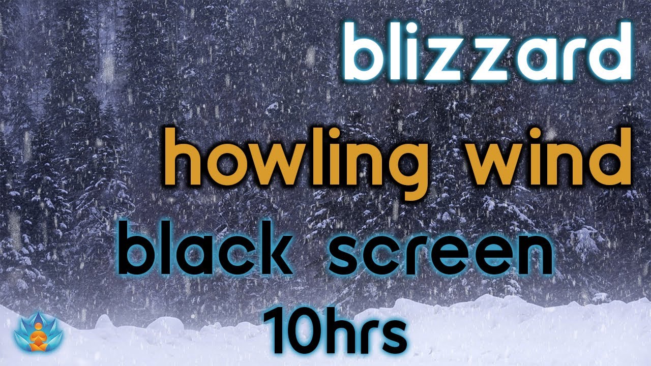 [Black Screen] Snowstorm Howling Wind: Blizzard and Snow Sounds for Sleep / Study / Relax | 10Hrs