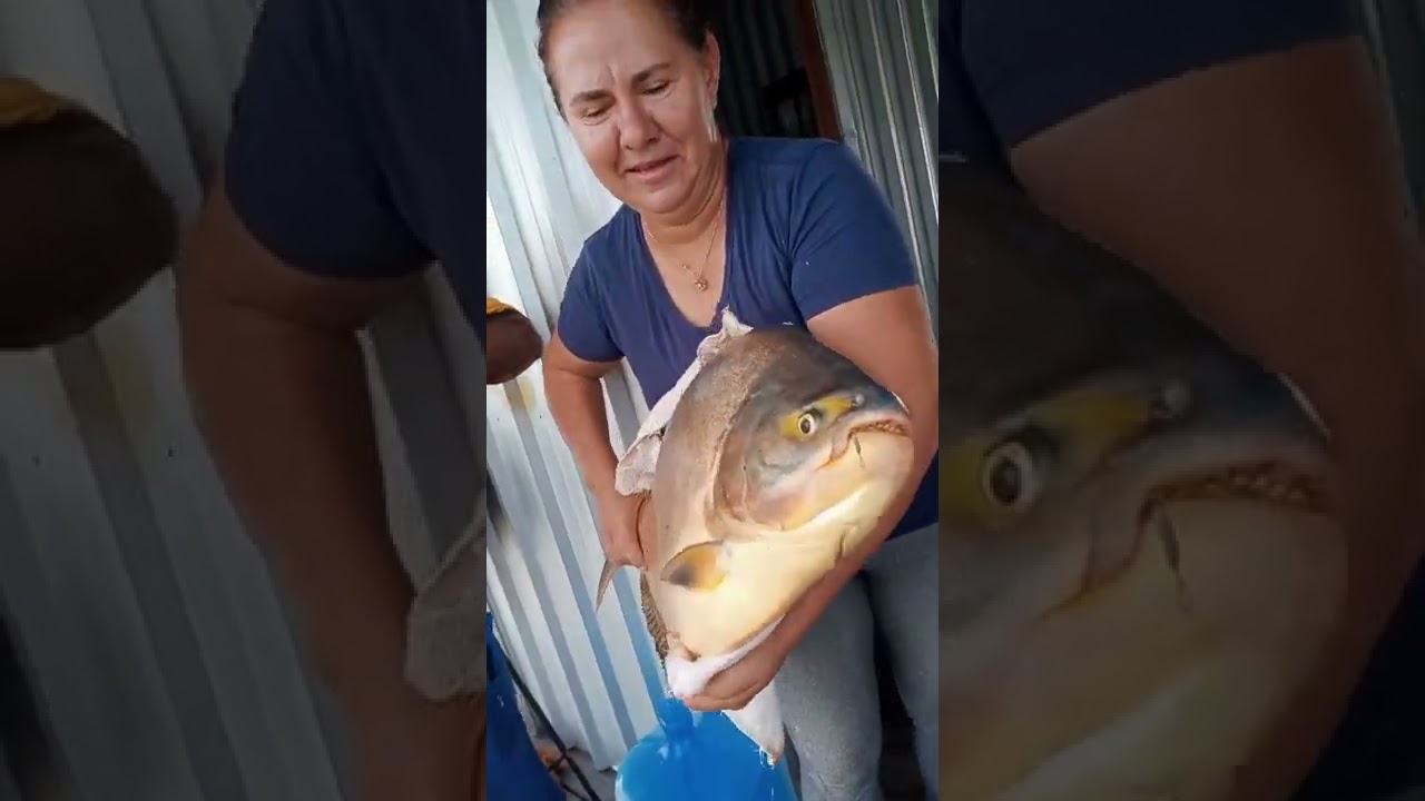 mata dos macacos