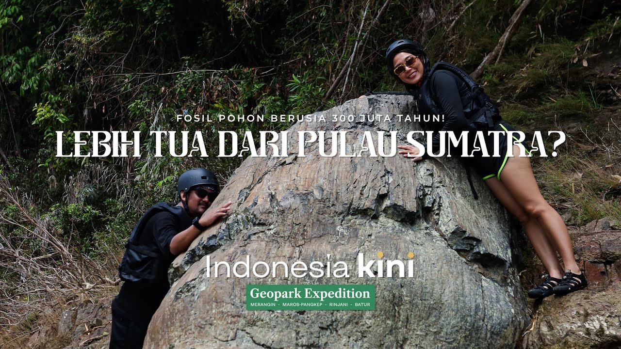 INDONESIA KINI || Fosil Pohon Purba di Geopark Merangin Jambi Usianya Lebih Tua dari Pulau Sumatra
