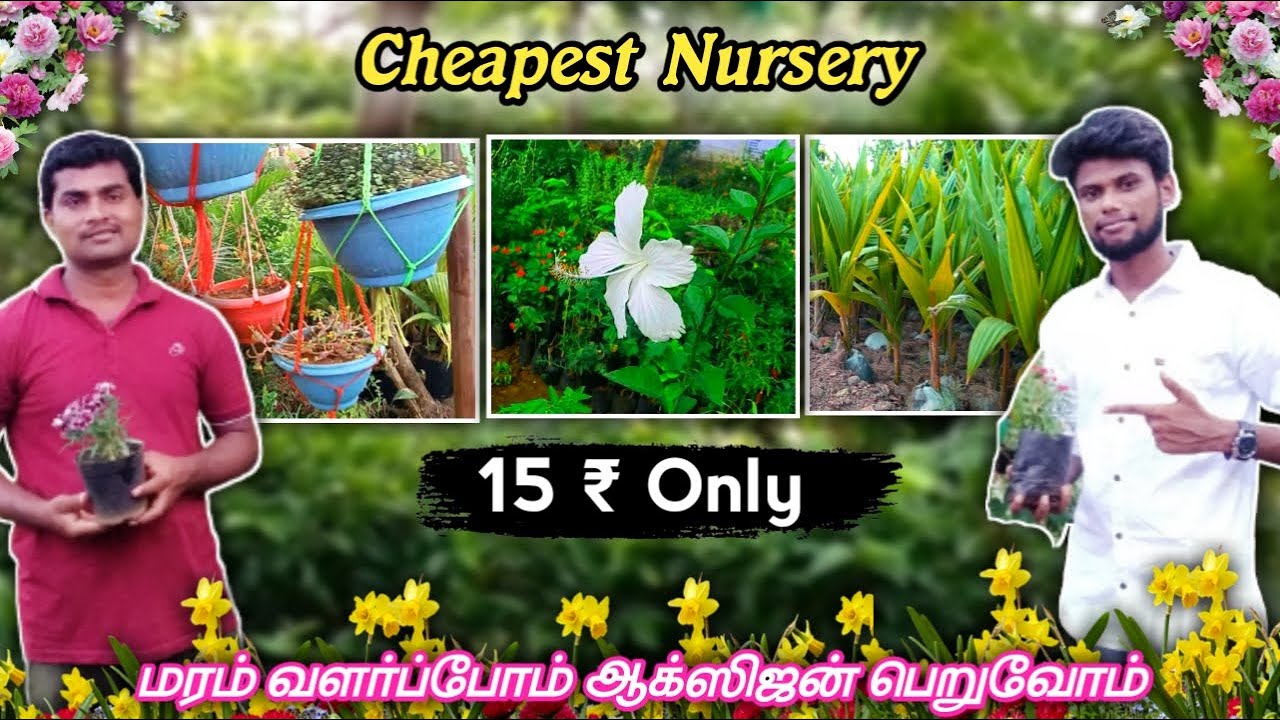 Cheapest Nursery Garden 🌺| ரூபாய் 15 மட்டுமே 🌳| Flower & Plants Nursery in Dindigul🌷|#VenkateView