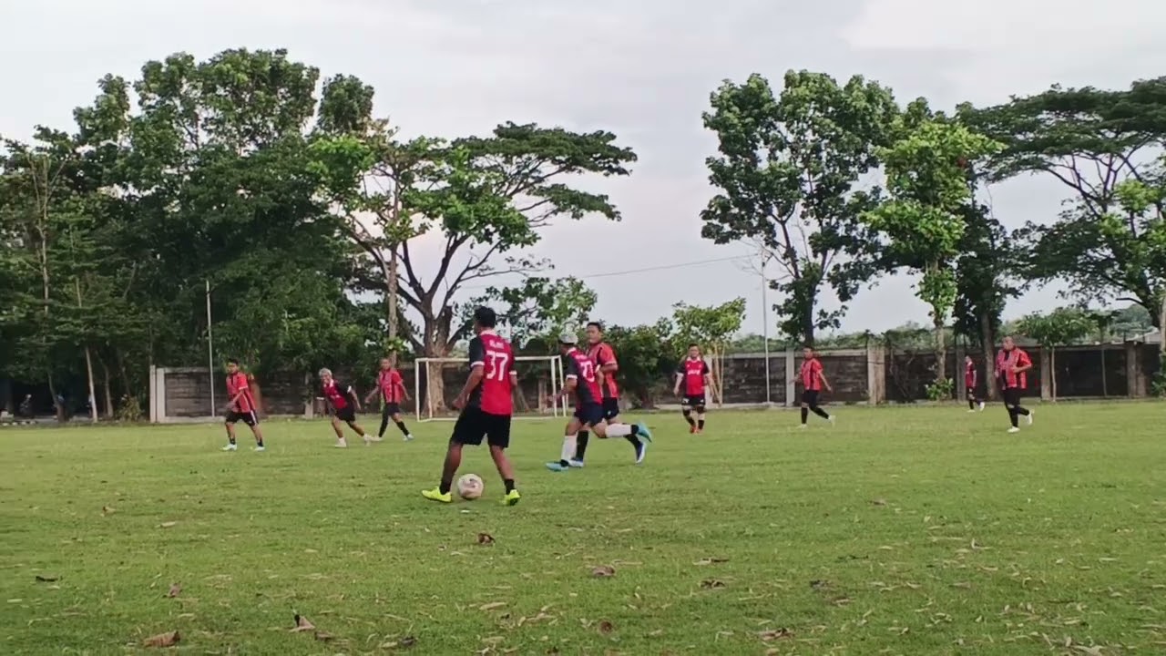 Wali BM vs wali IM 
